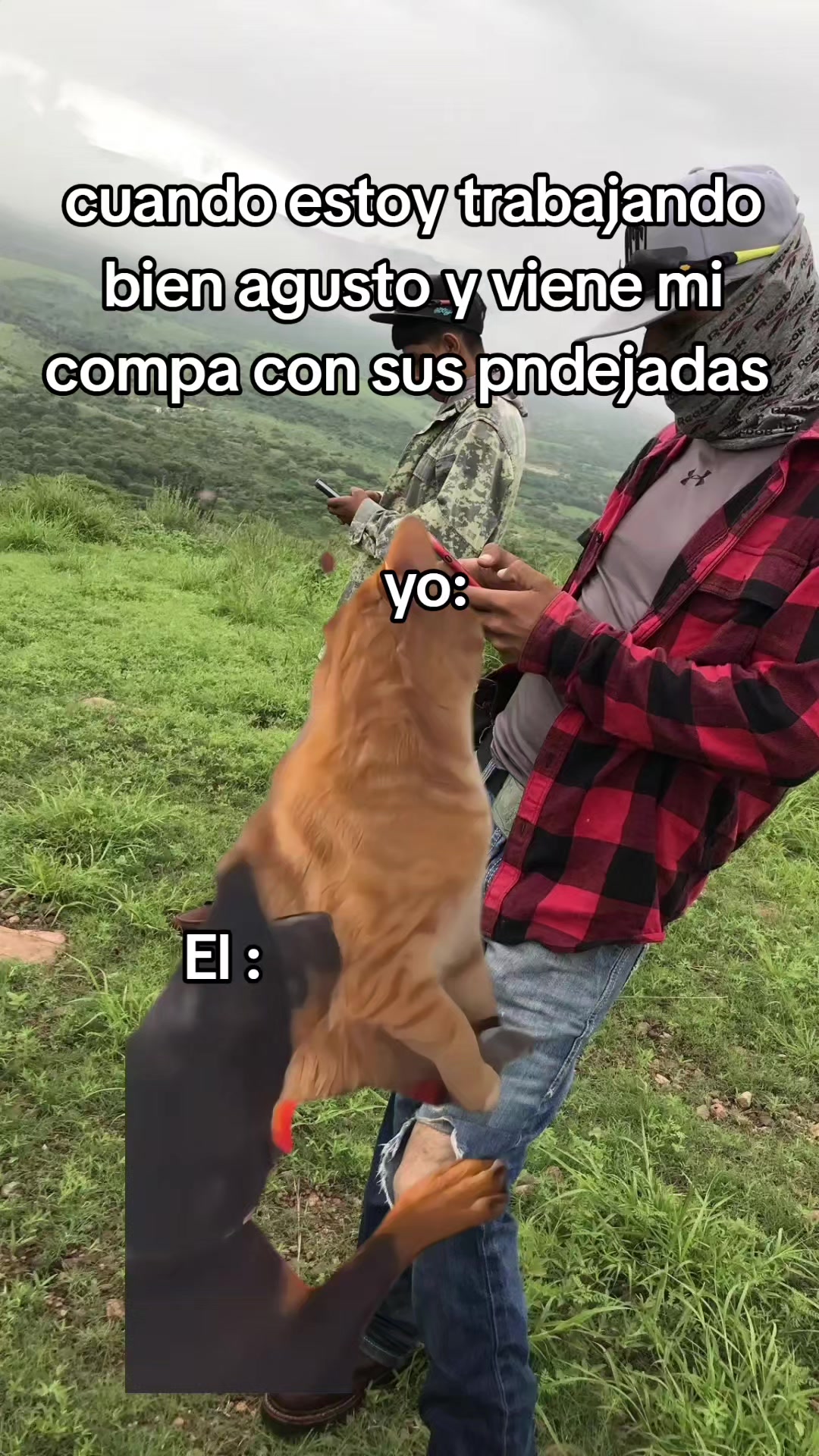 @Carlos Martínez