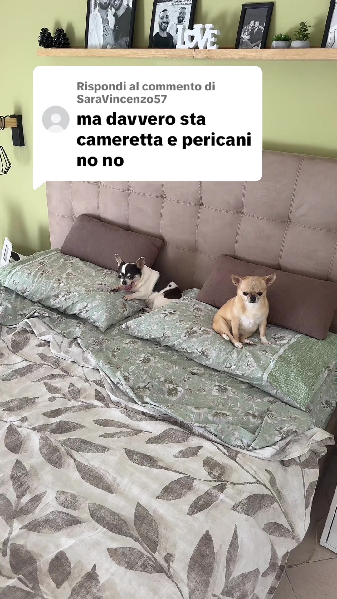 @Giuseppe&luigi