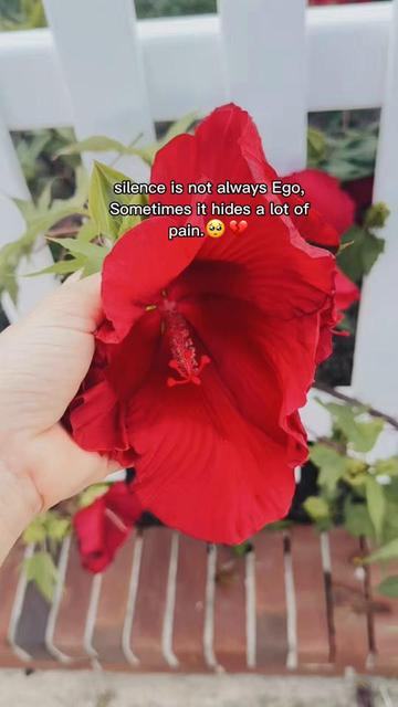 @Bhabi Sawad