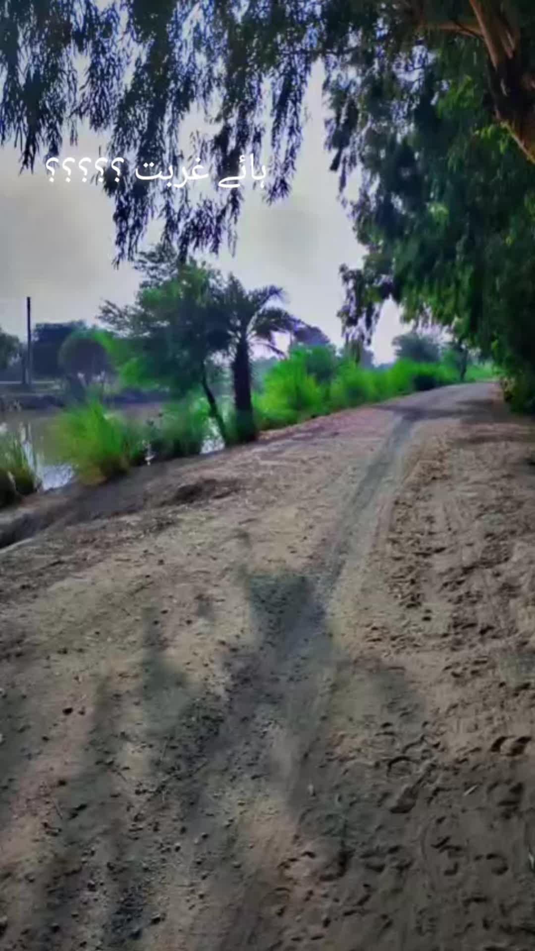 @𝔘𝔪𝔞𝔦𝔯ی 𝔊𝔲𝔧𝔧𝔞𝔯❤️&zwj;🩹