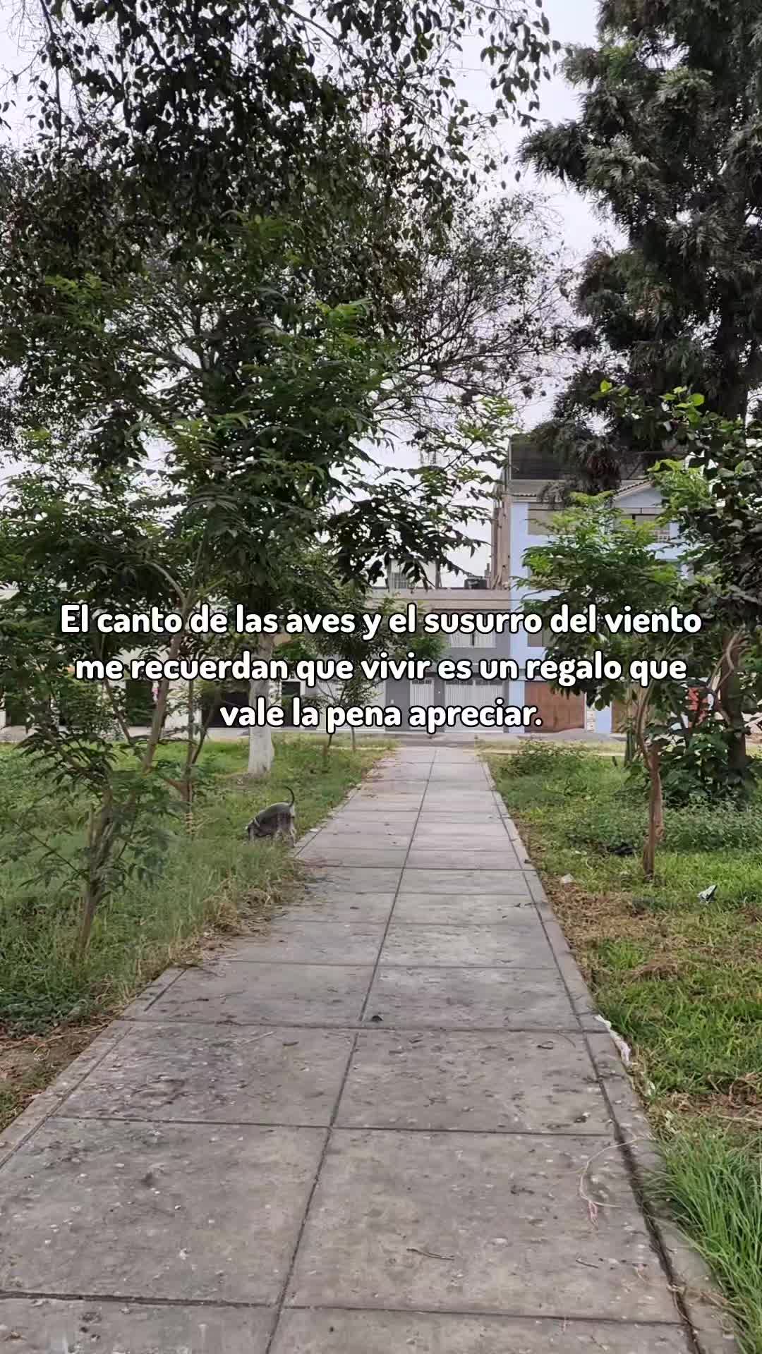 @Makito