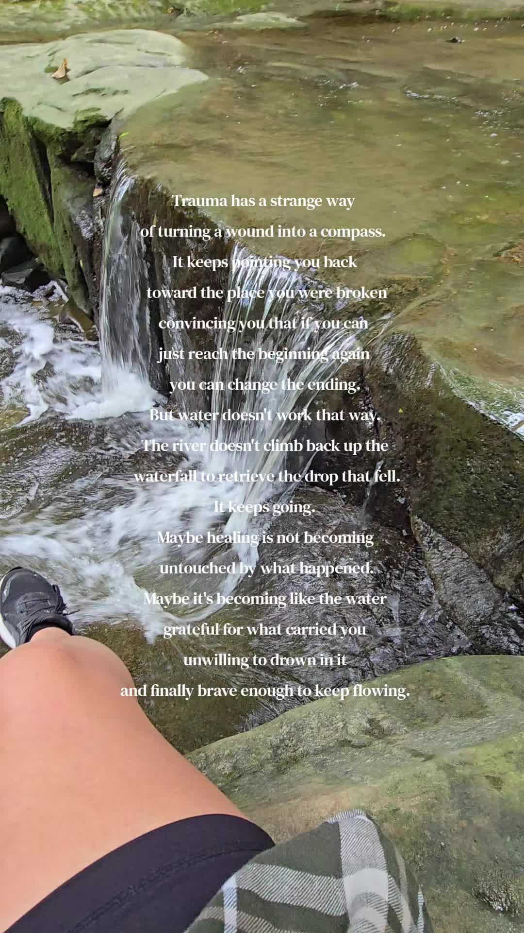 @amber83eternalroot