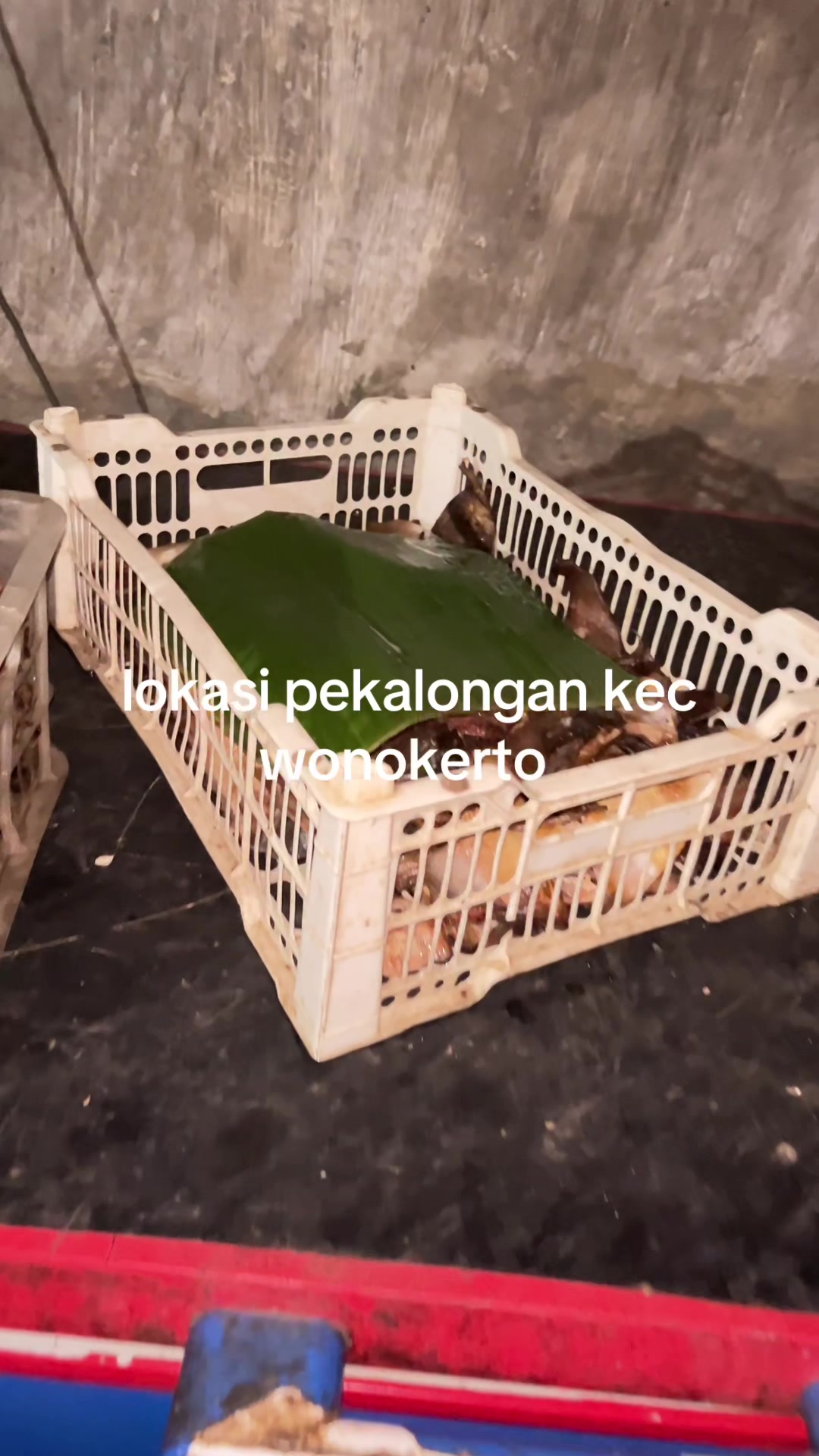@Um. ikan