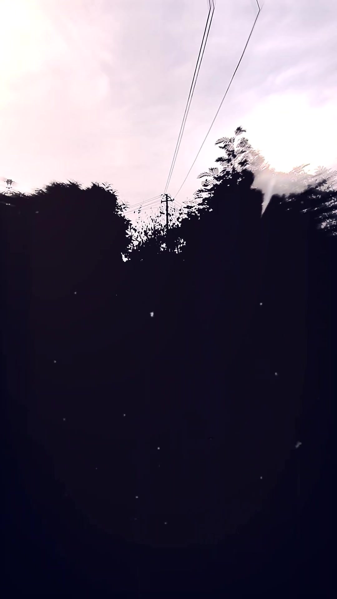 @꧁༒ᴍɪᴋᴀꜱᴀ༒👾