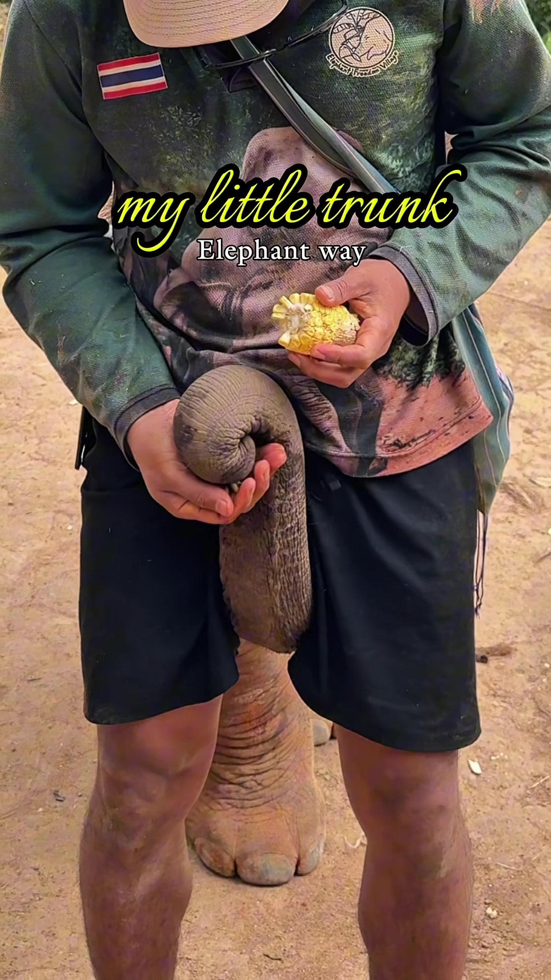 @Elephant way
