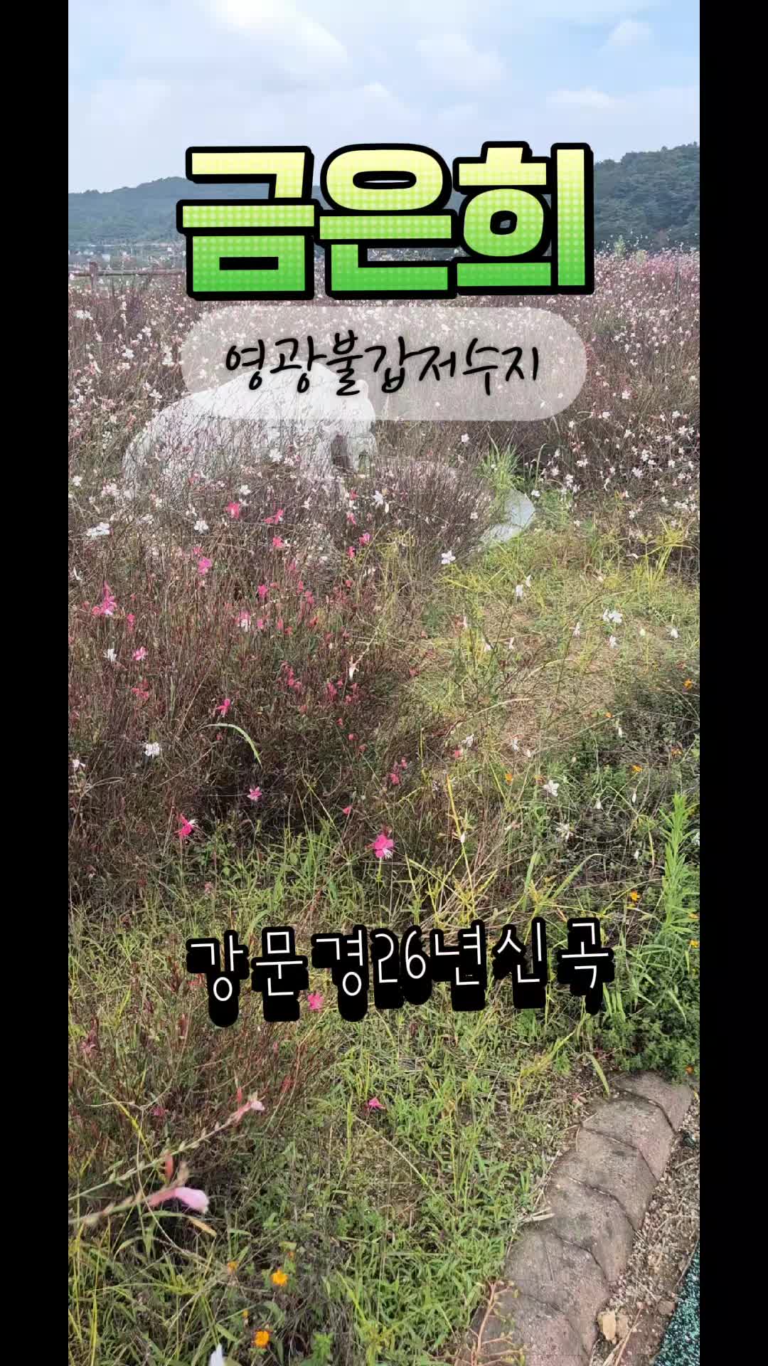 @금은희