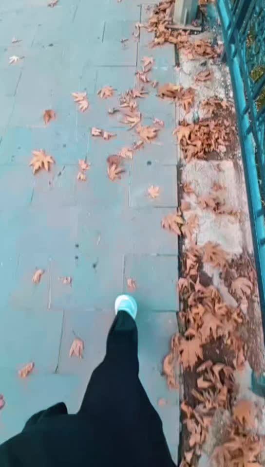 @🍂🌹