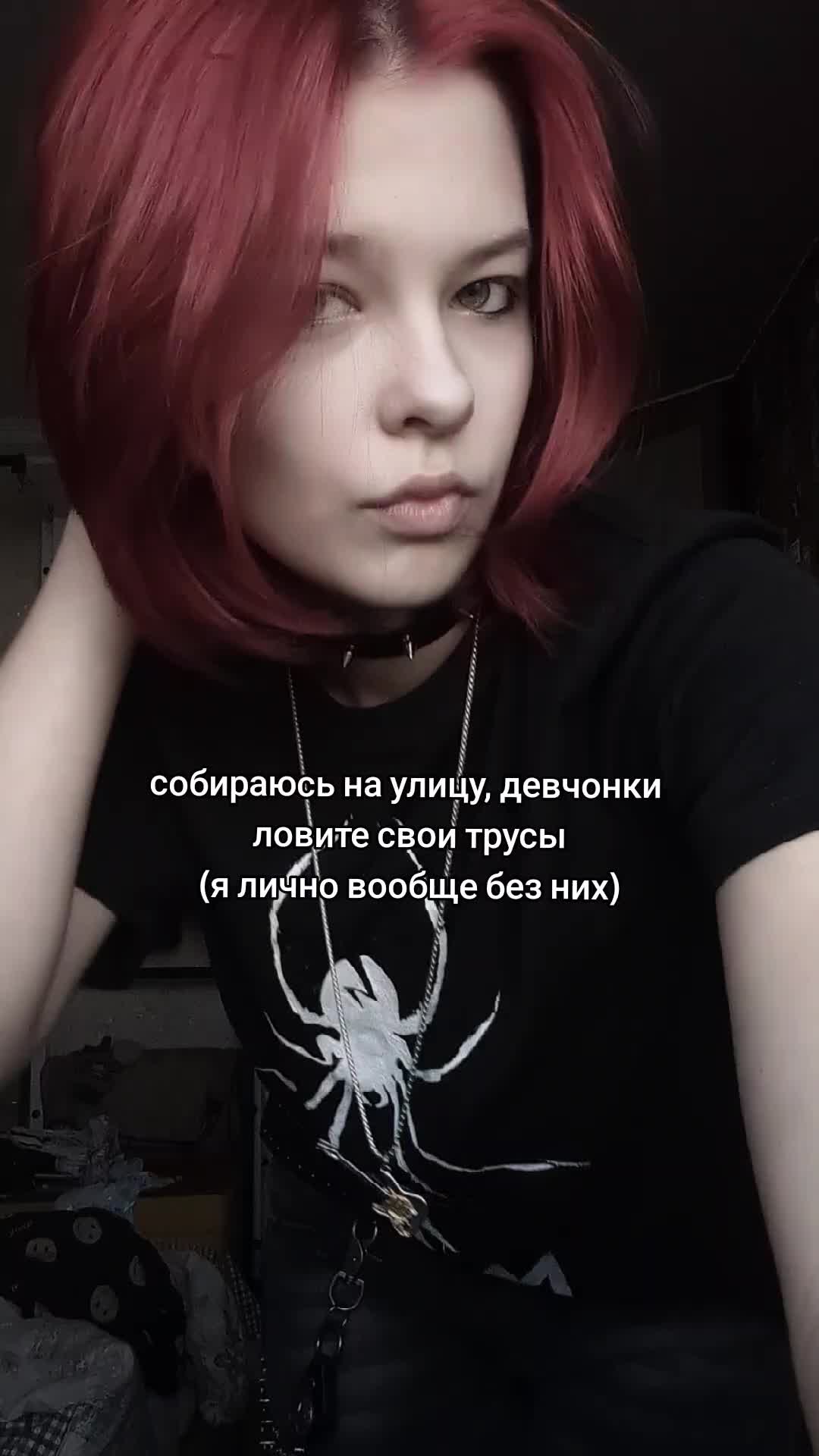 @половина собаки