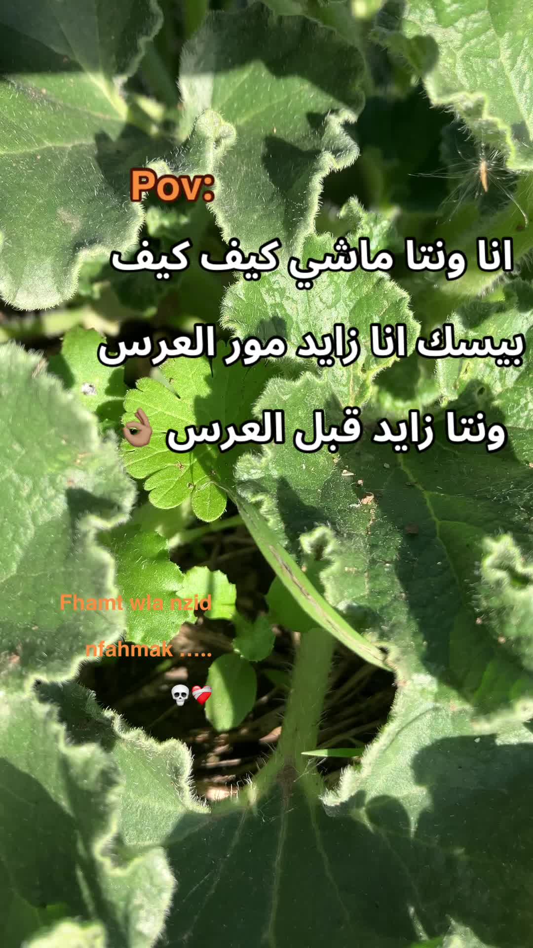 @Mouutaz Mouutaz