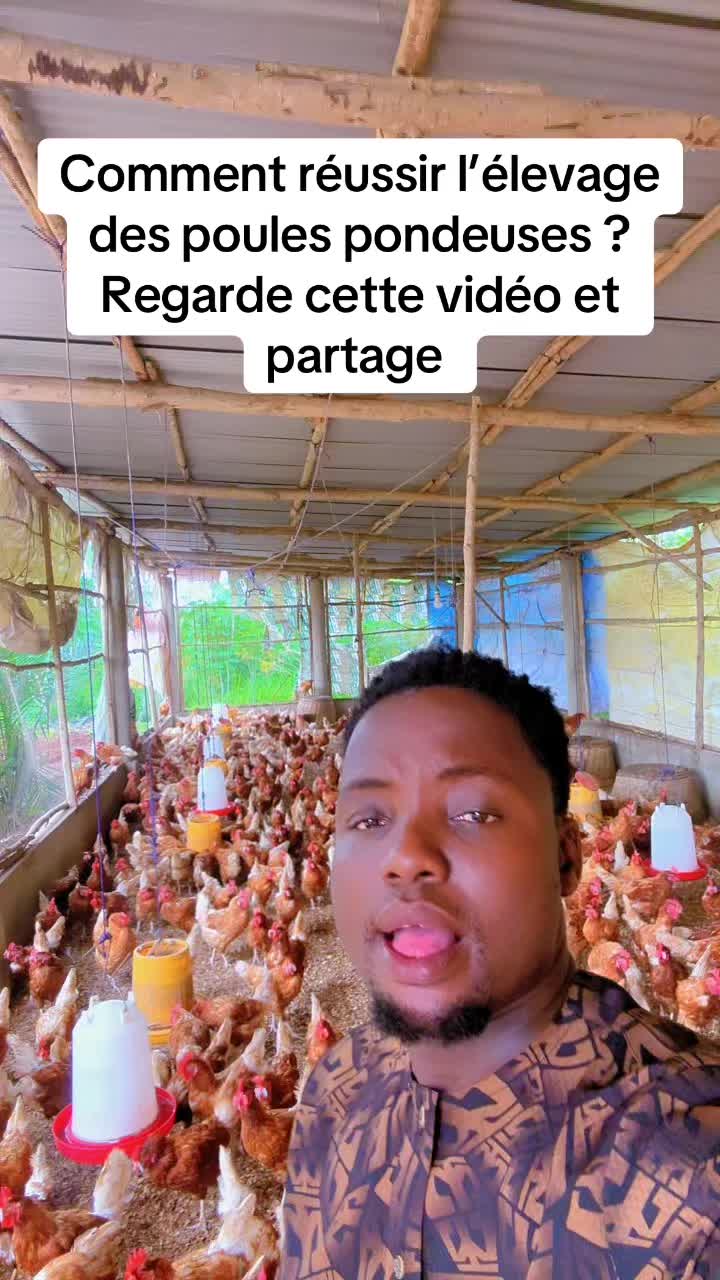 @Gragologue Solidarity