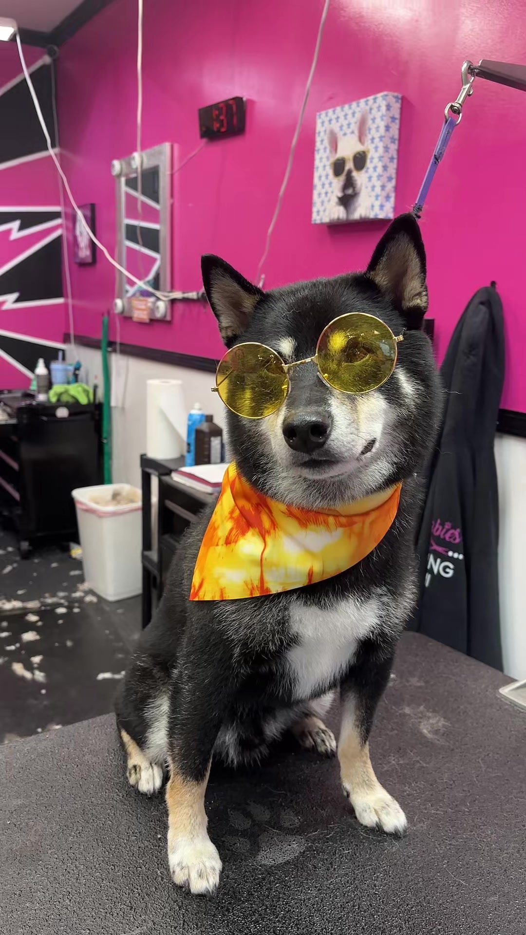 @Furbabies Grooming