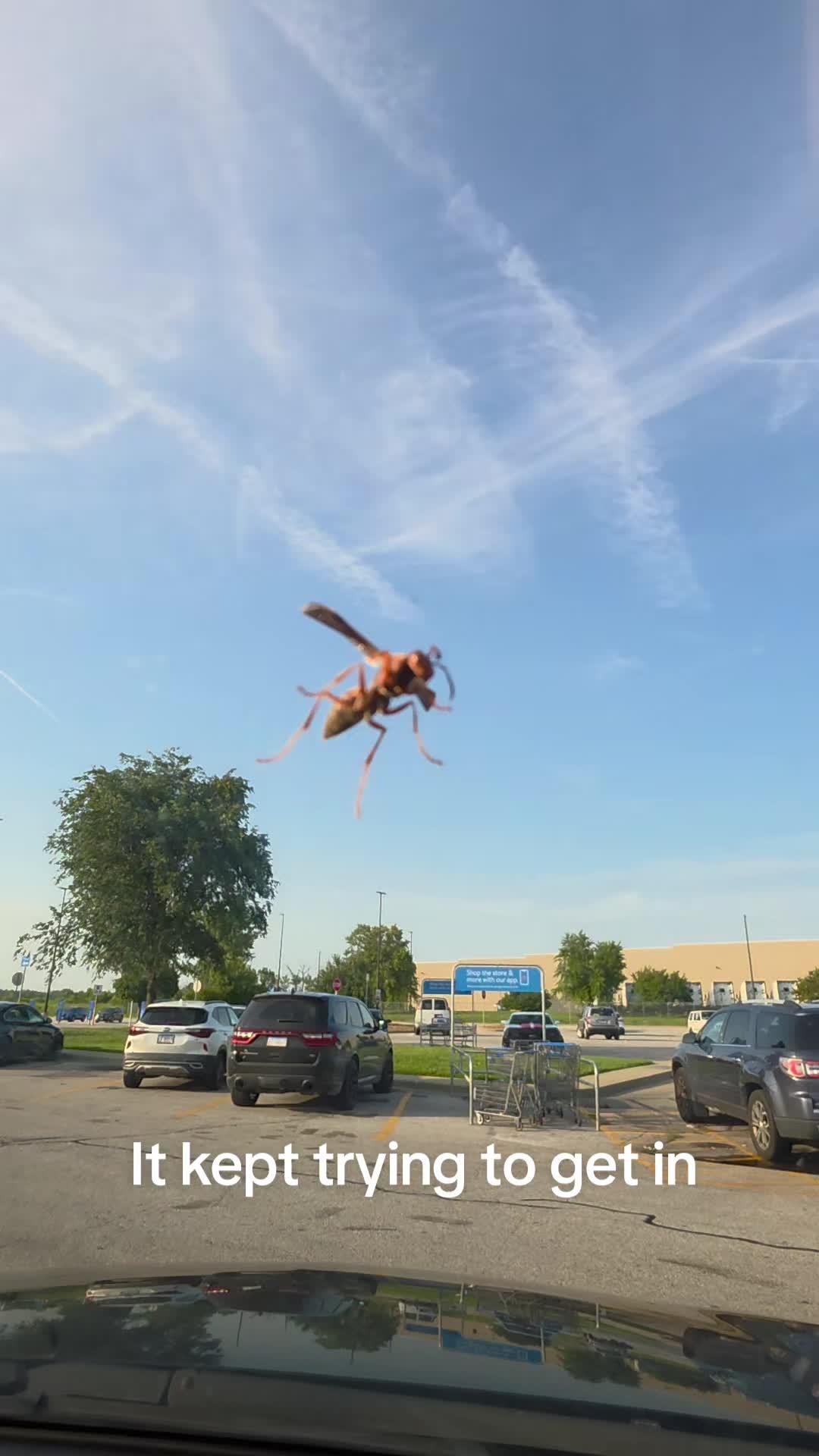 @CrabbyGabby