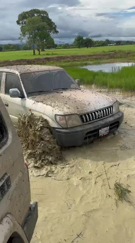 @BachacoCars