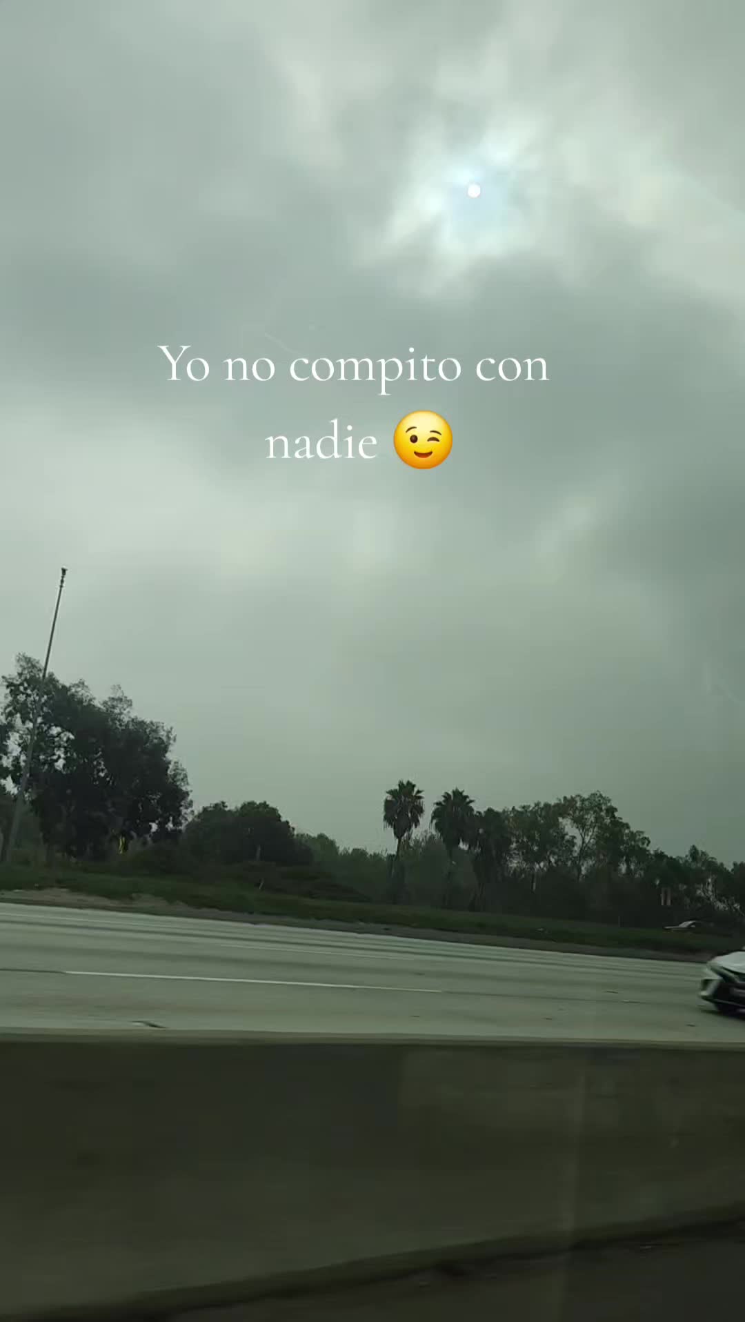 @Maribel Gallardo