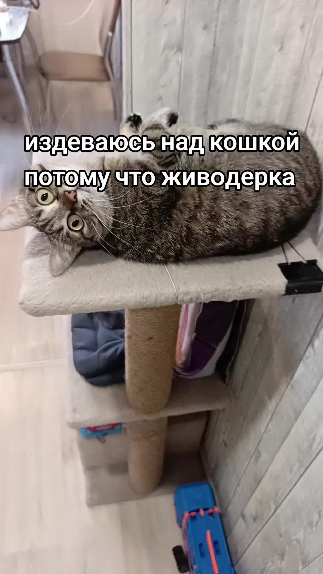 @олеся хулиганка