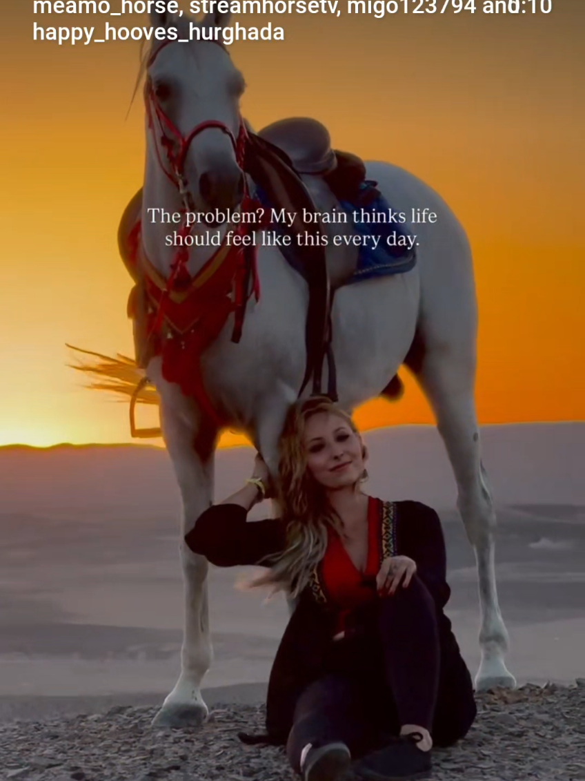 @streamhorse