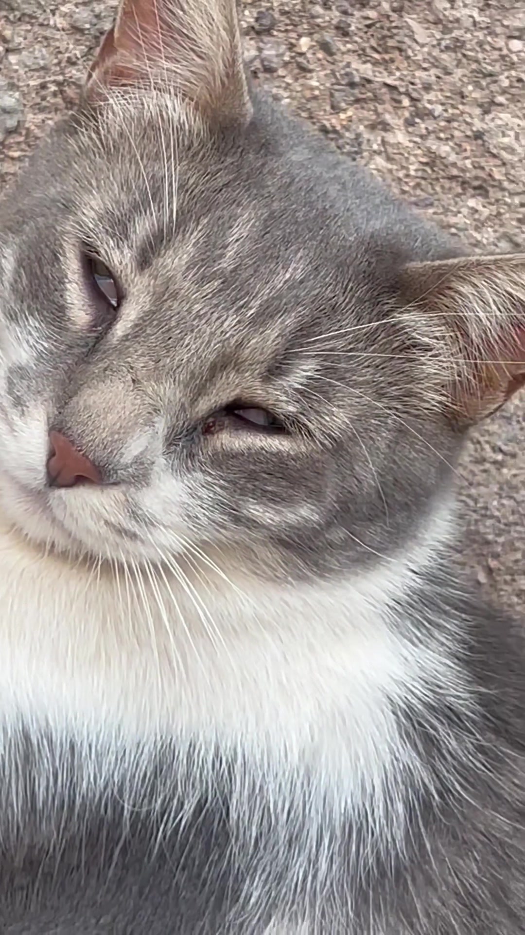 @𝑨𝐍𝐆𝐘