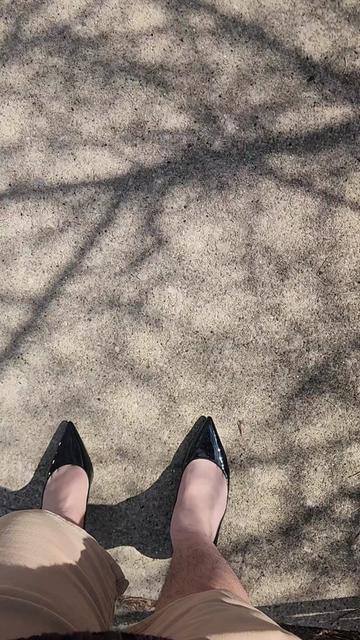 @Peacock🦚🦚