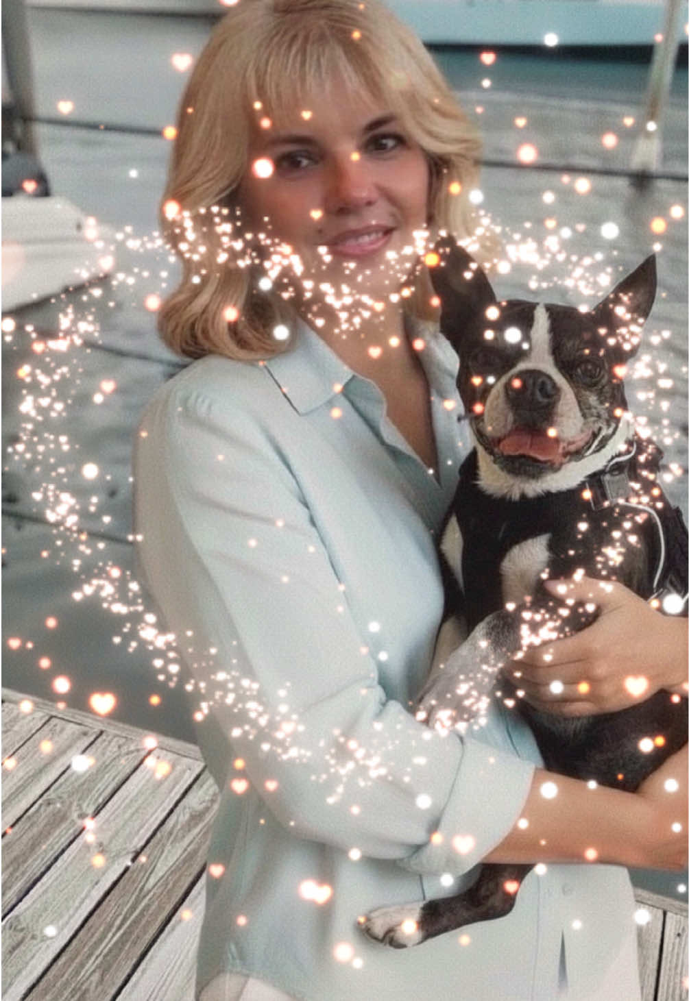@mybffisabostonterrier