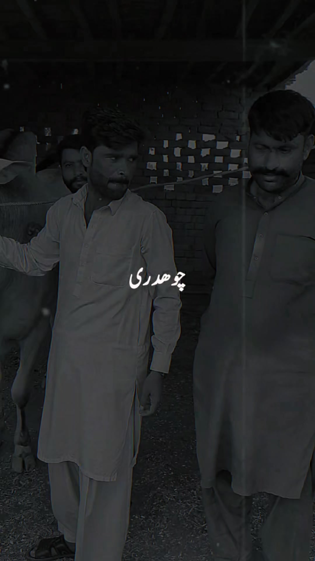@چوہدری شاہد سلیم مڑل