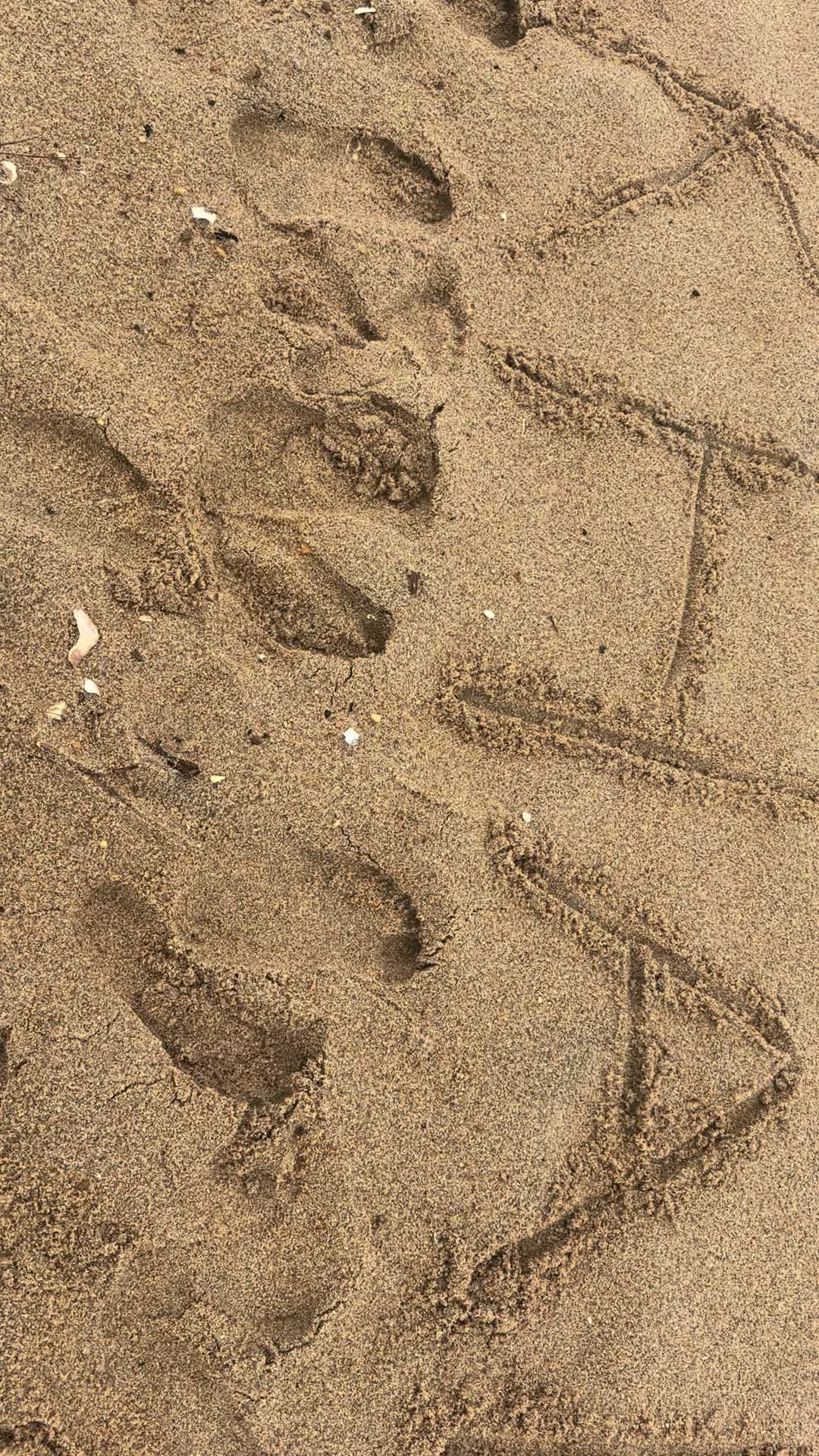 @nahidakhan_1