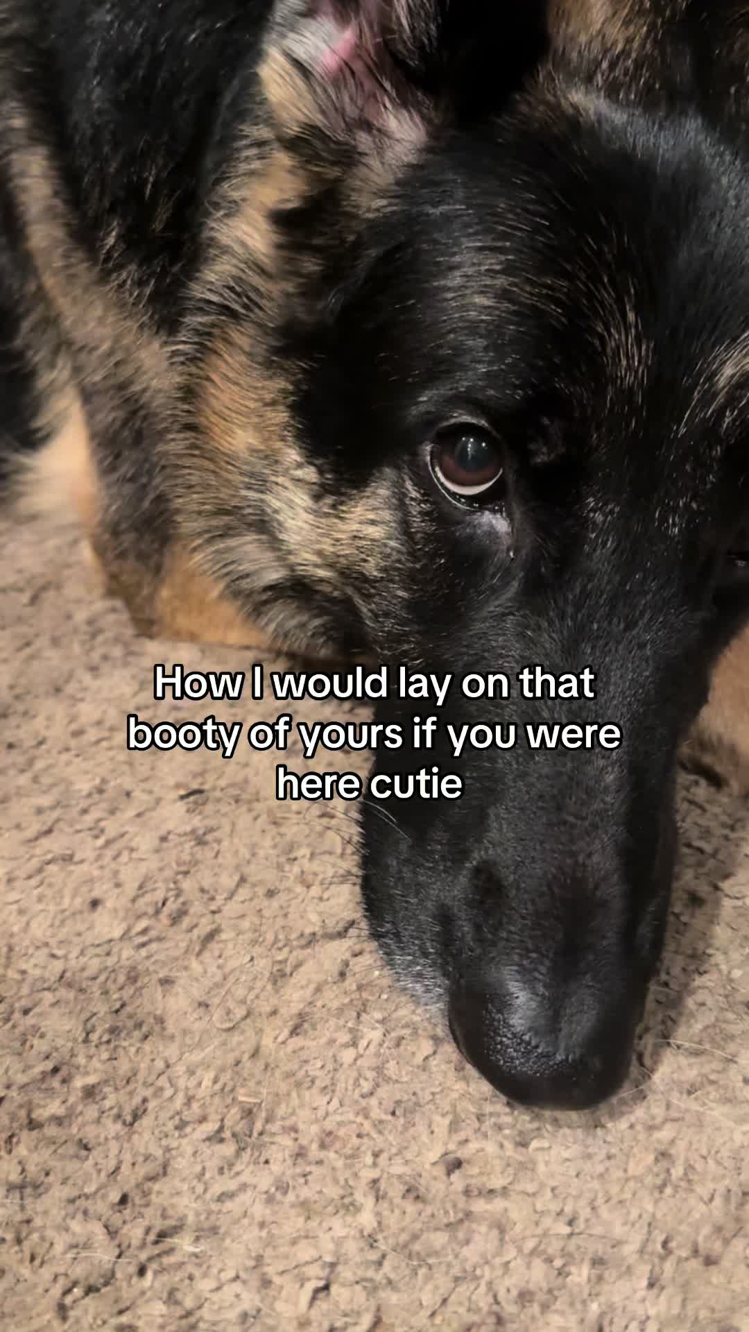 @Bhris