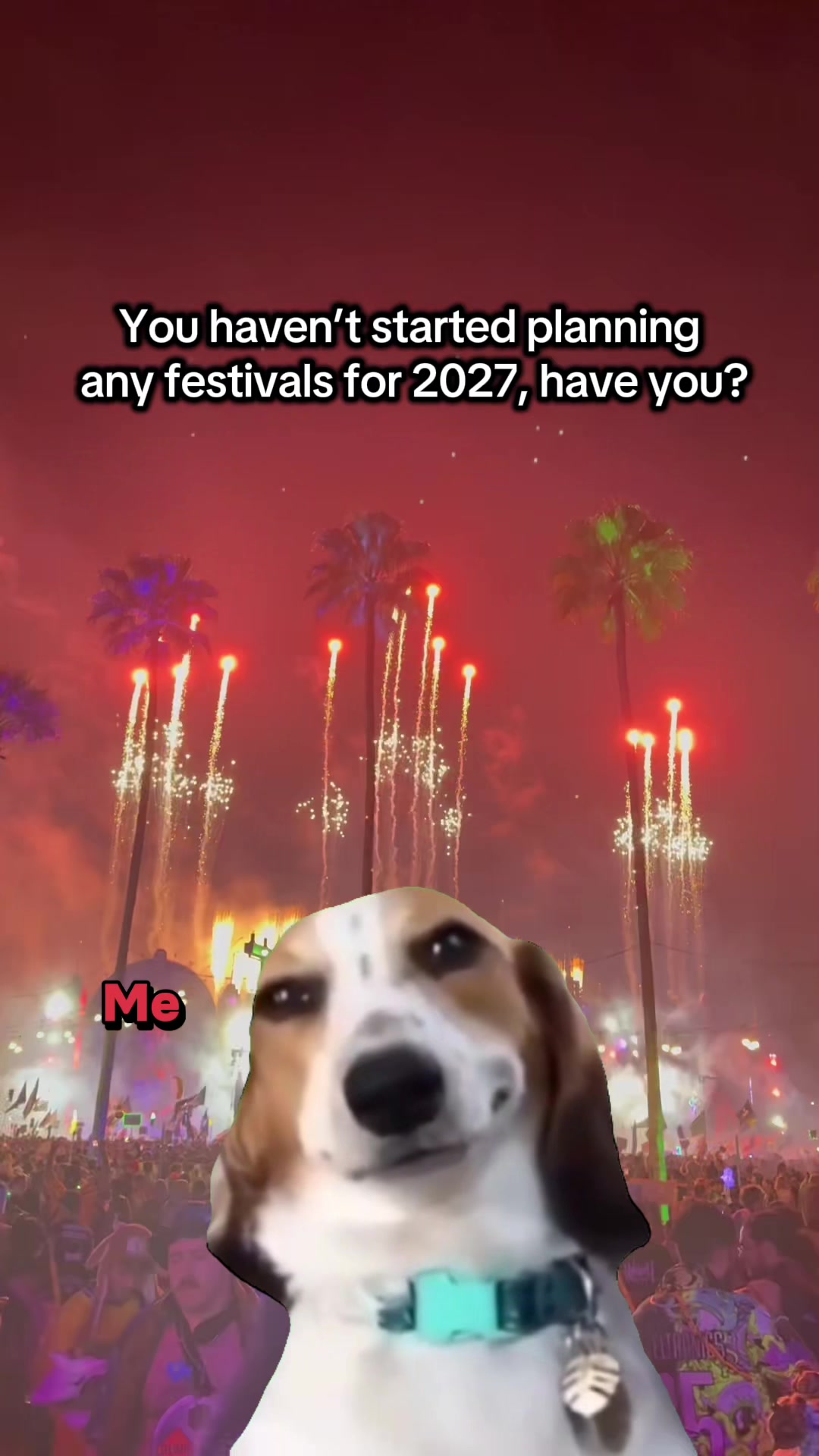 @Ravingfamilia