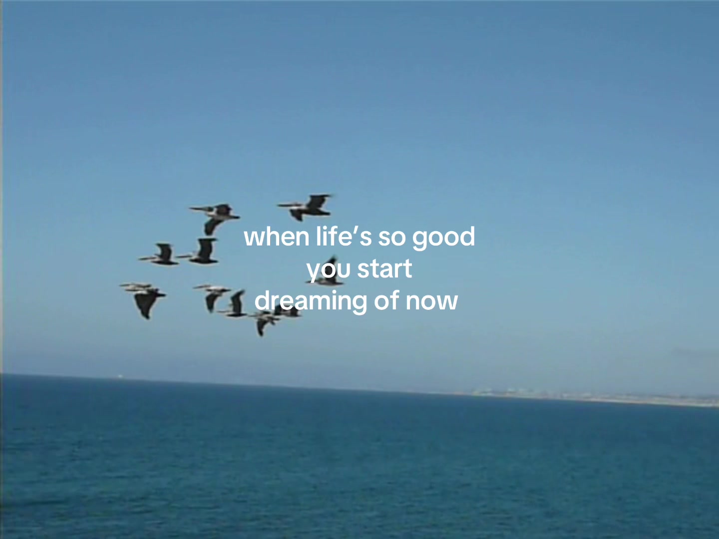 @Sophia