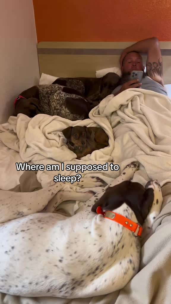 @alice_the_gsp