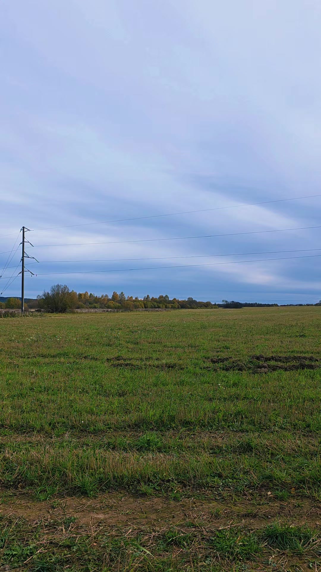 @Кудрявая