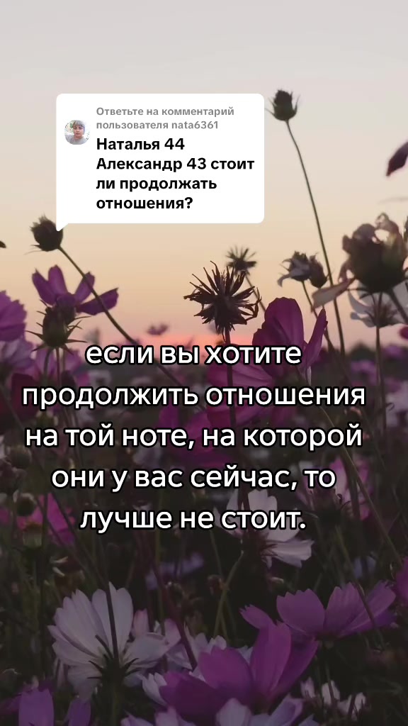 @Tarolog5467