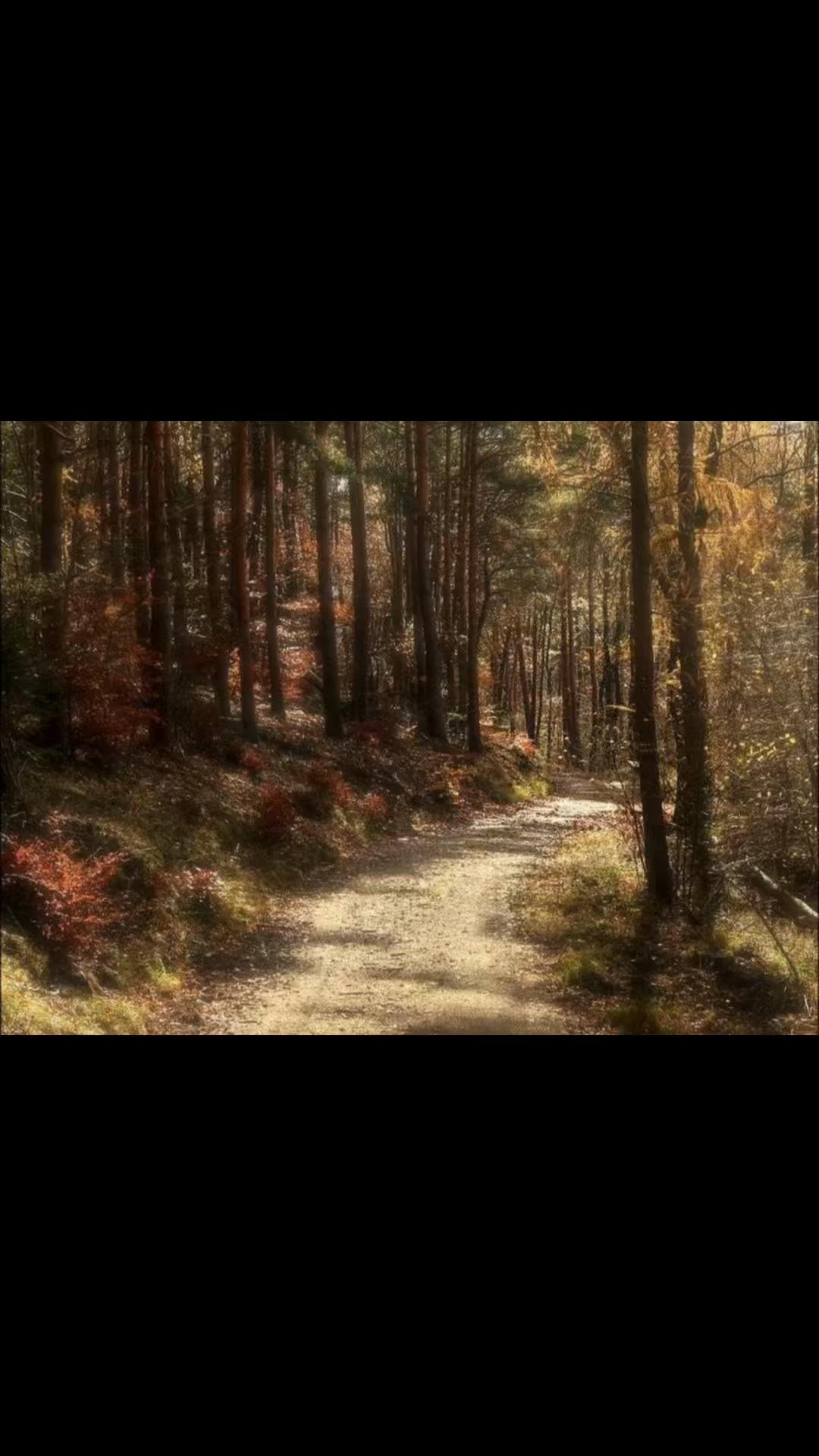@убᴇᴩиᴛᴇ ᴀᴩбуɜ