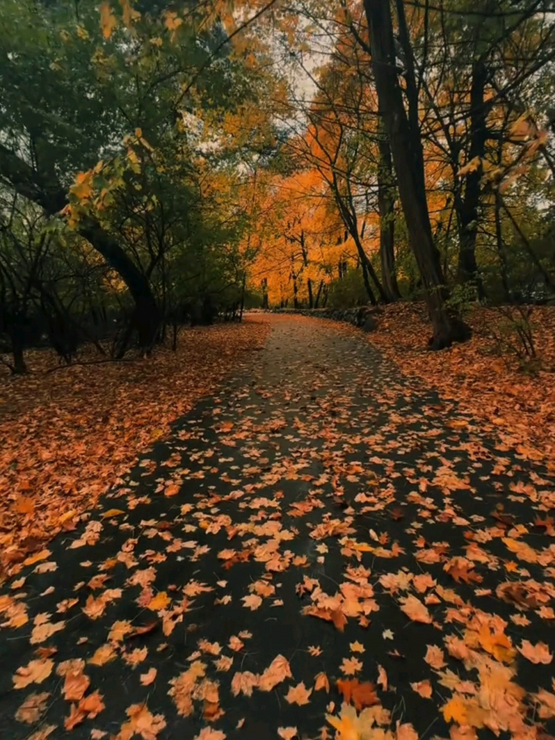 @Лайки для тебя