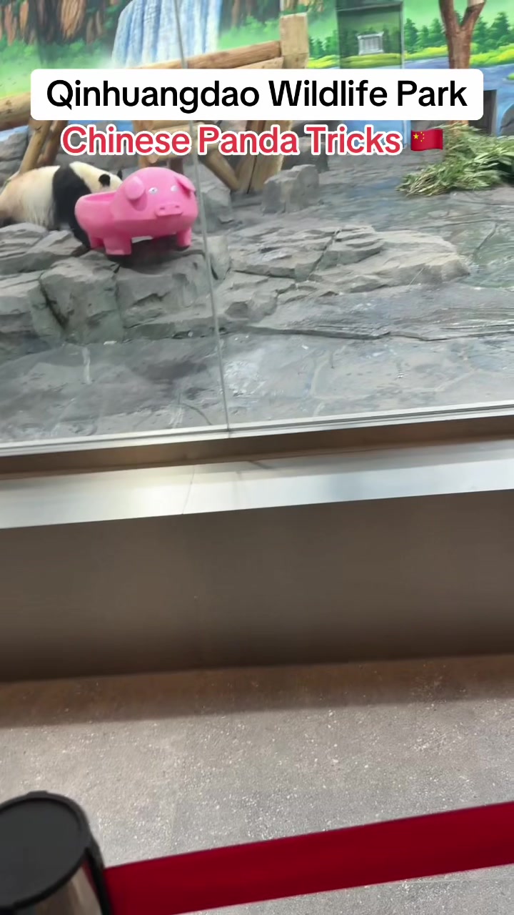 @KEL