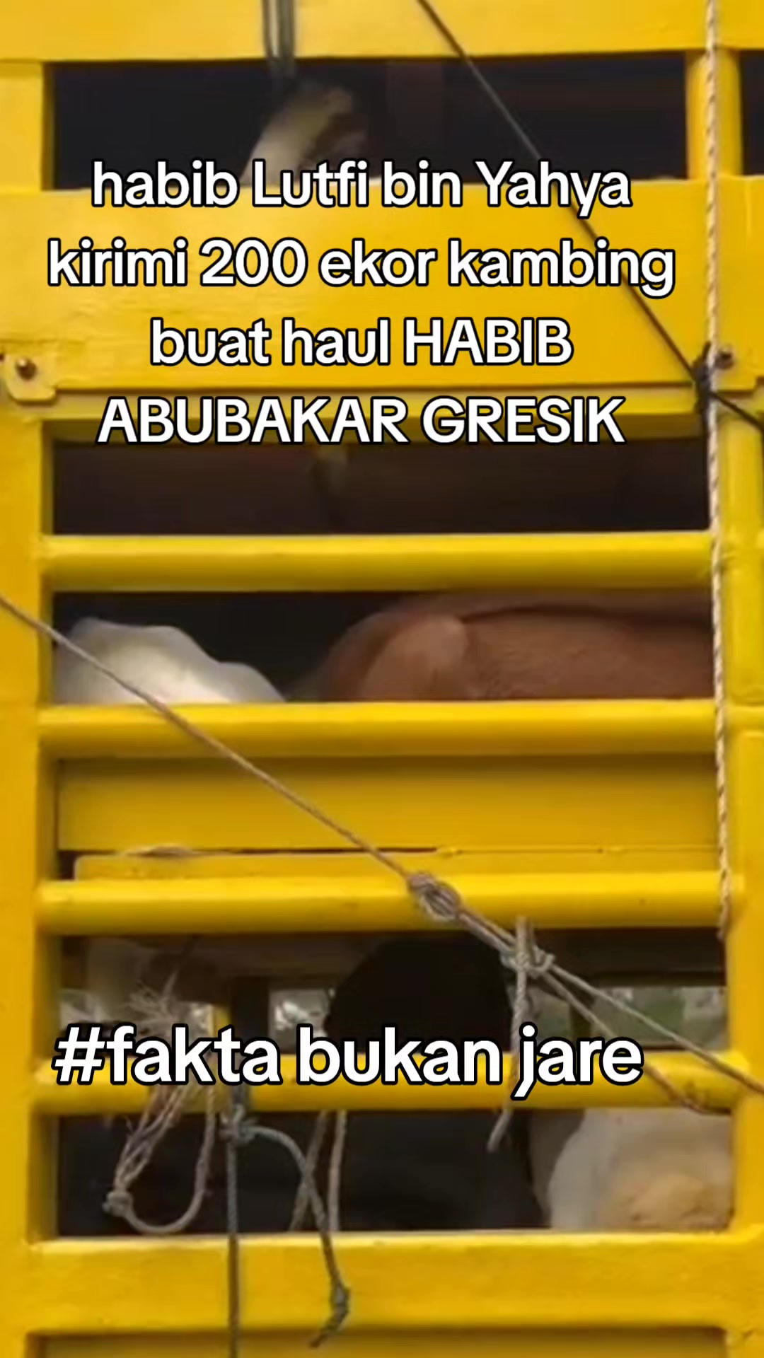 @ANCENE