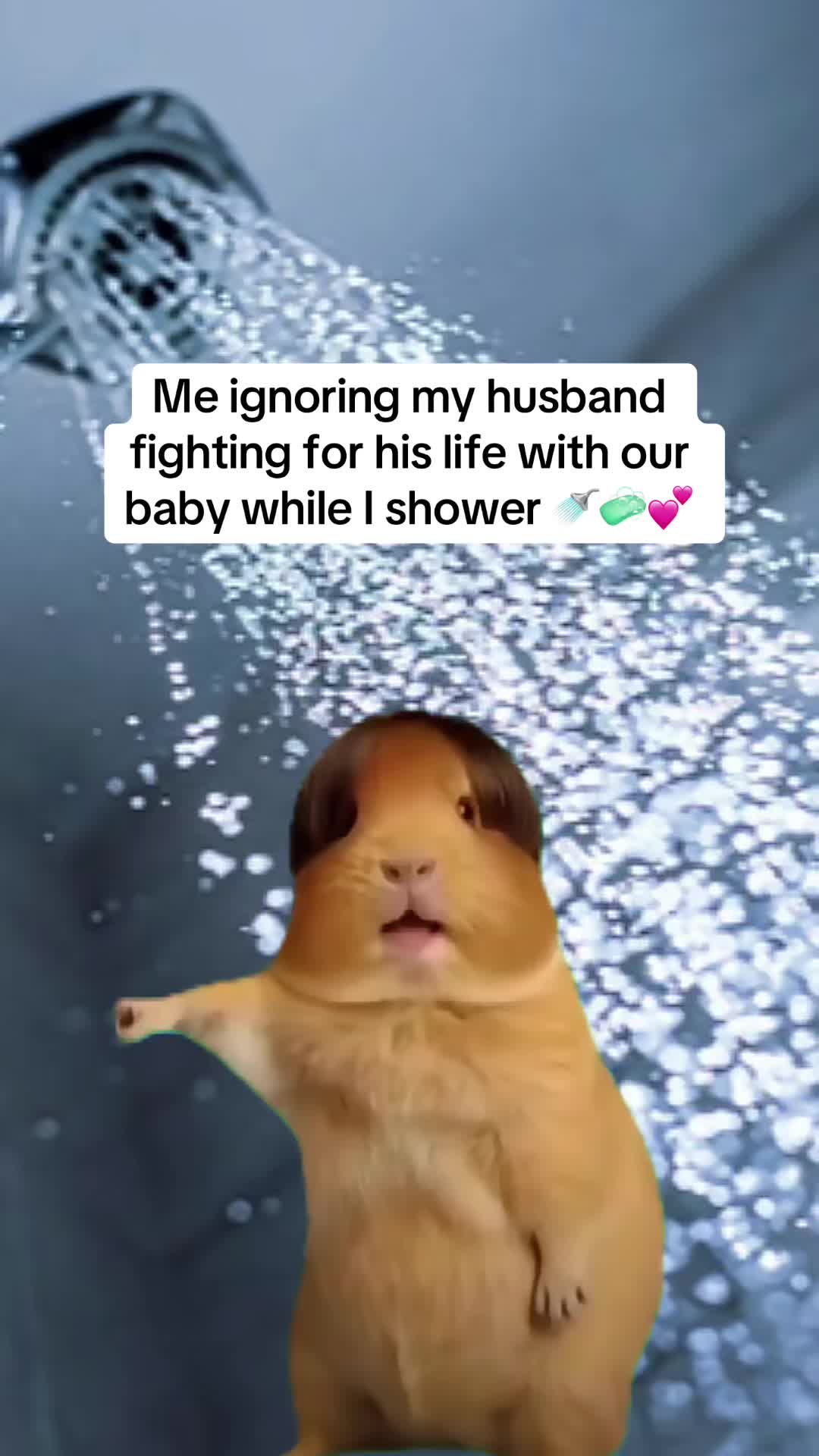 @_elainehere