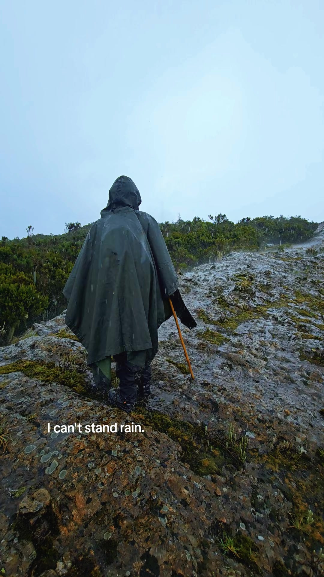 @gasprom.