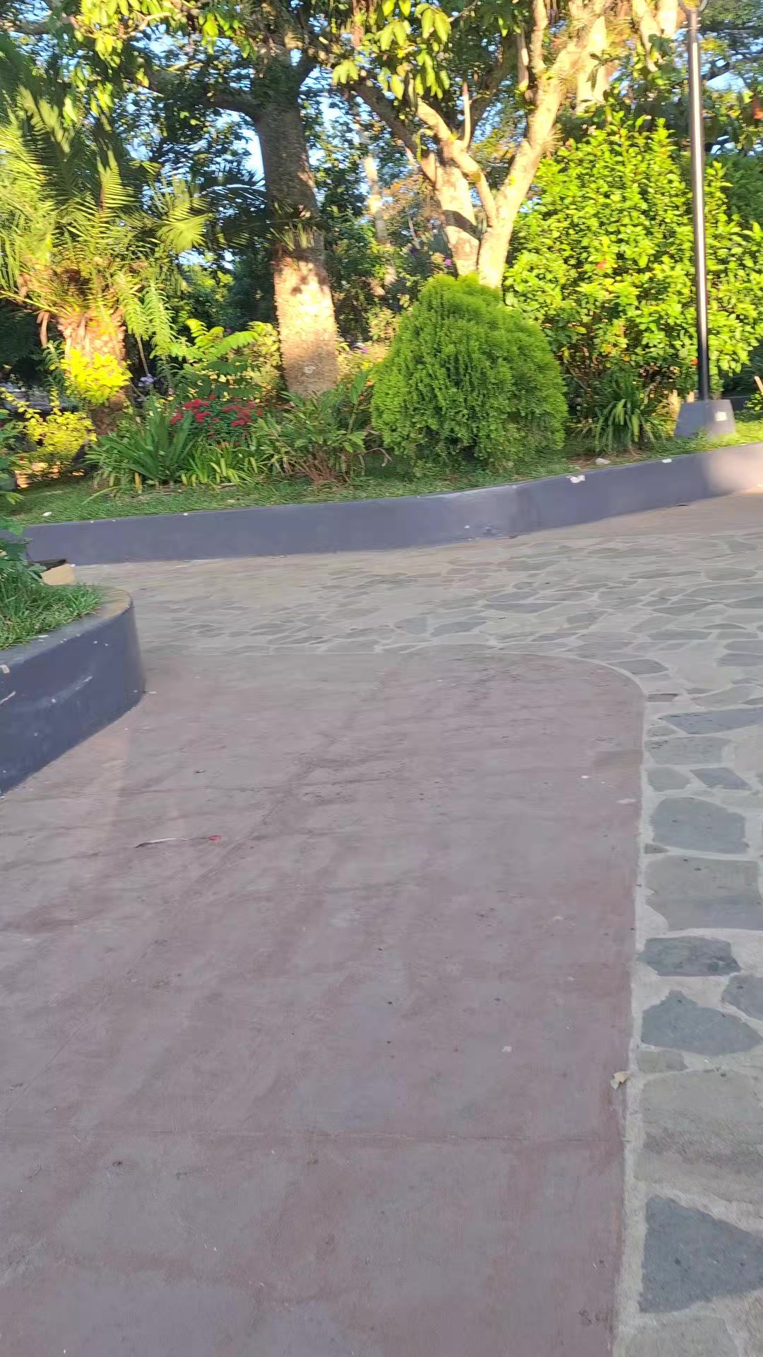 @VACIL EL SALVADOR 503🇸🇻