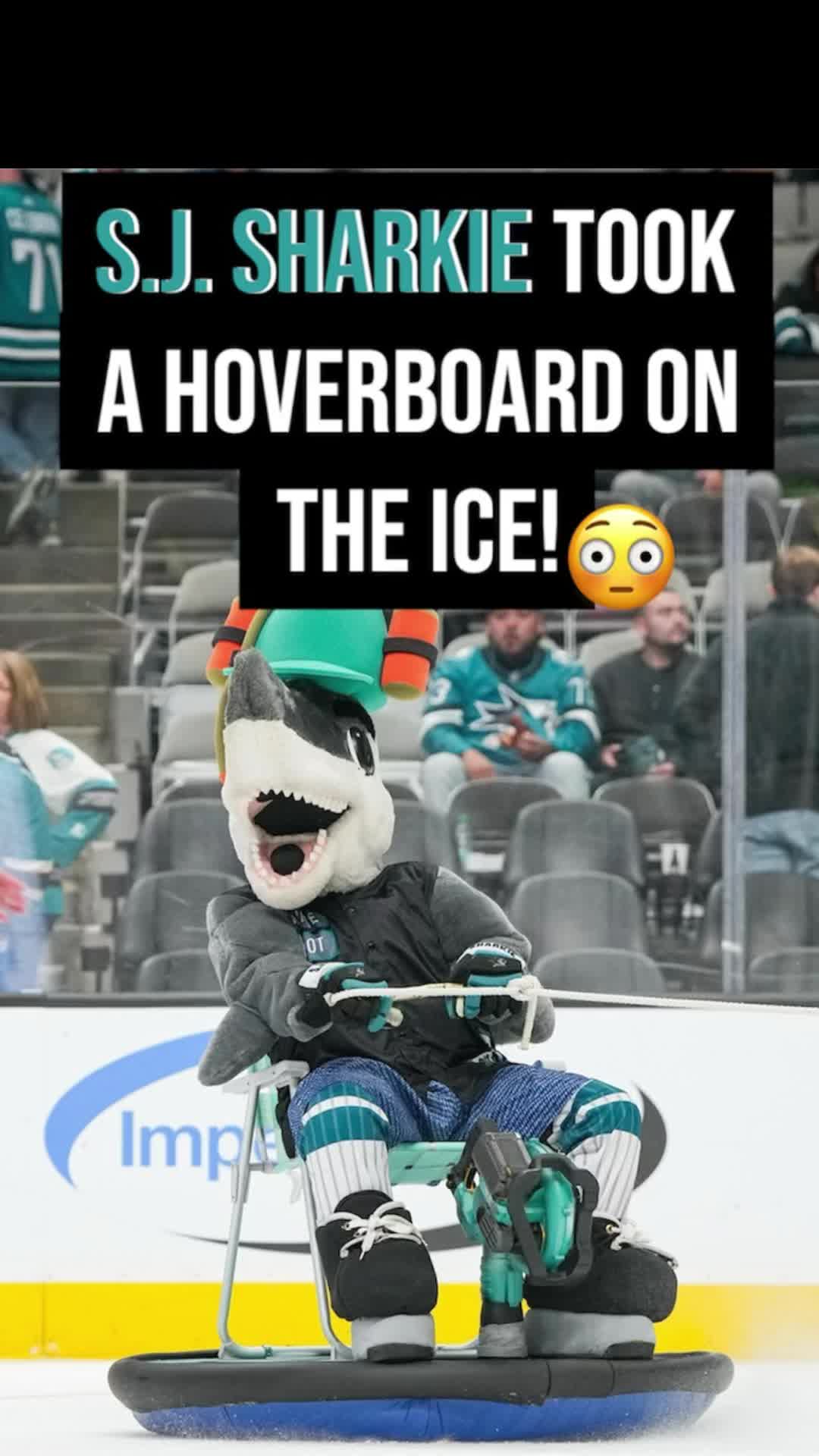 @SJ SHARKIE