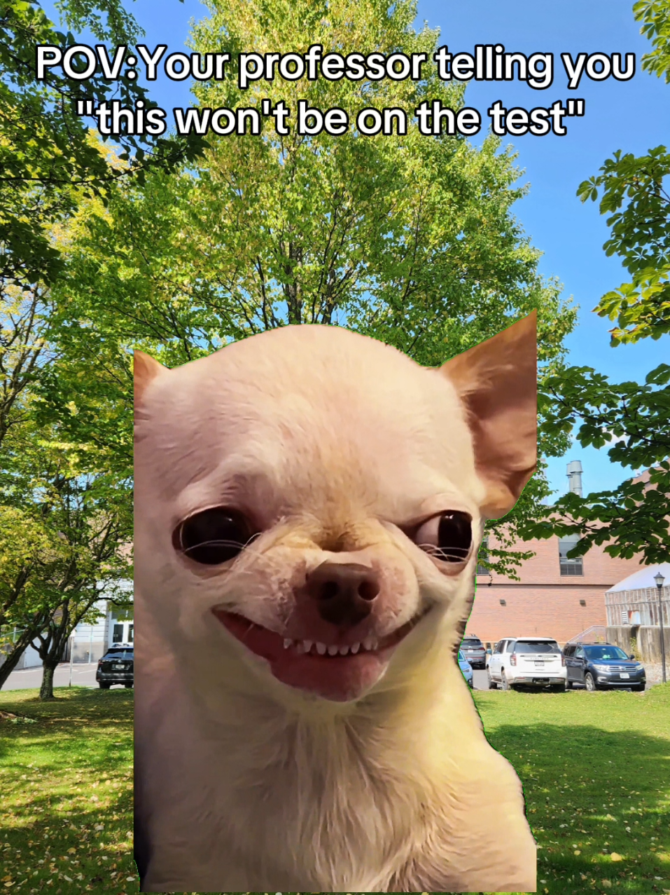 @SUNY Delhi