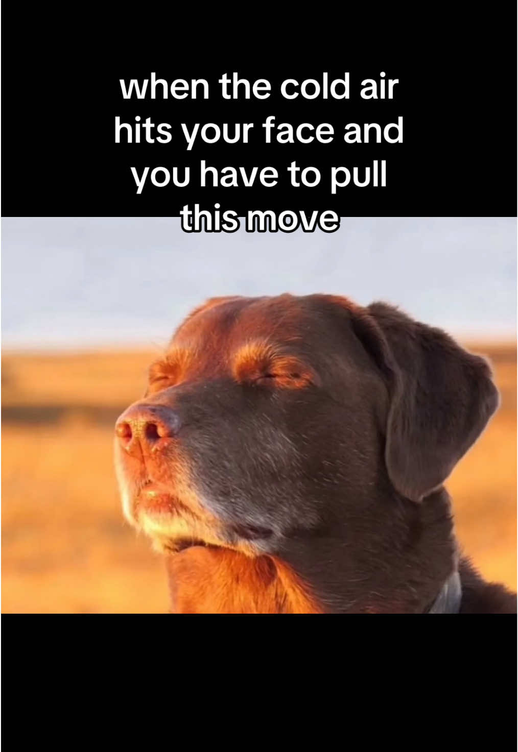 @joloe