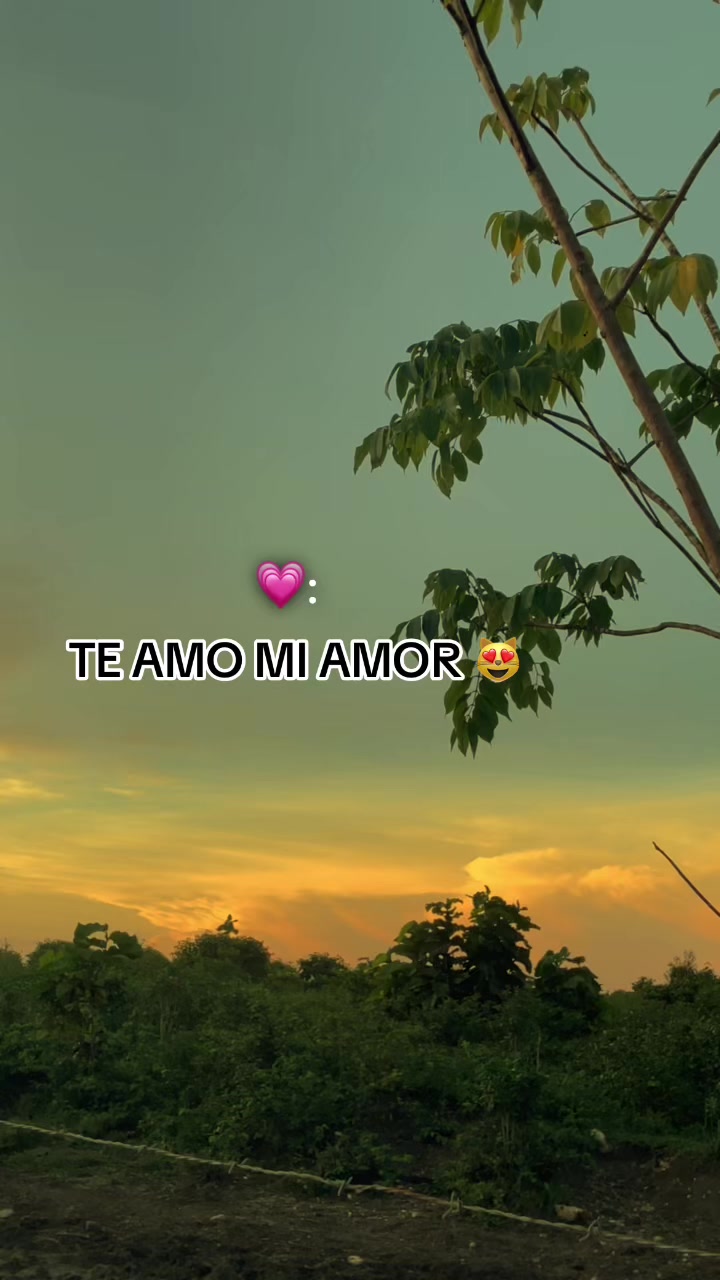 @Gustavo