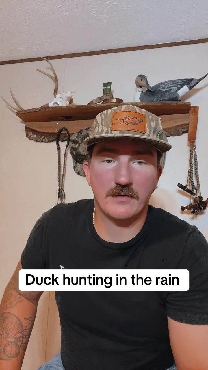 @American Mallard