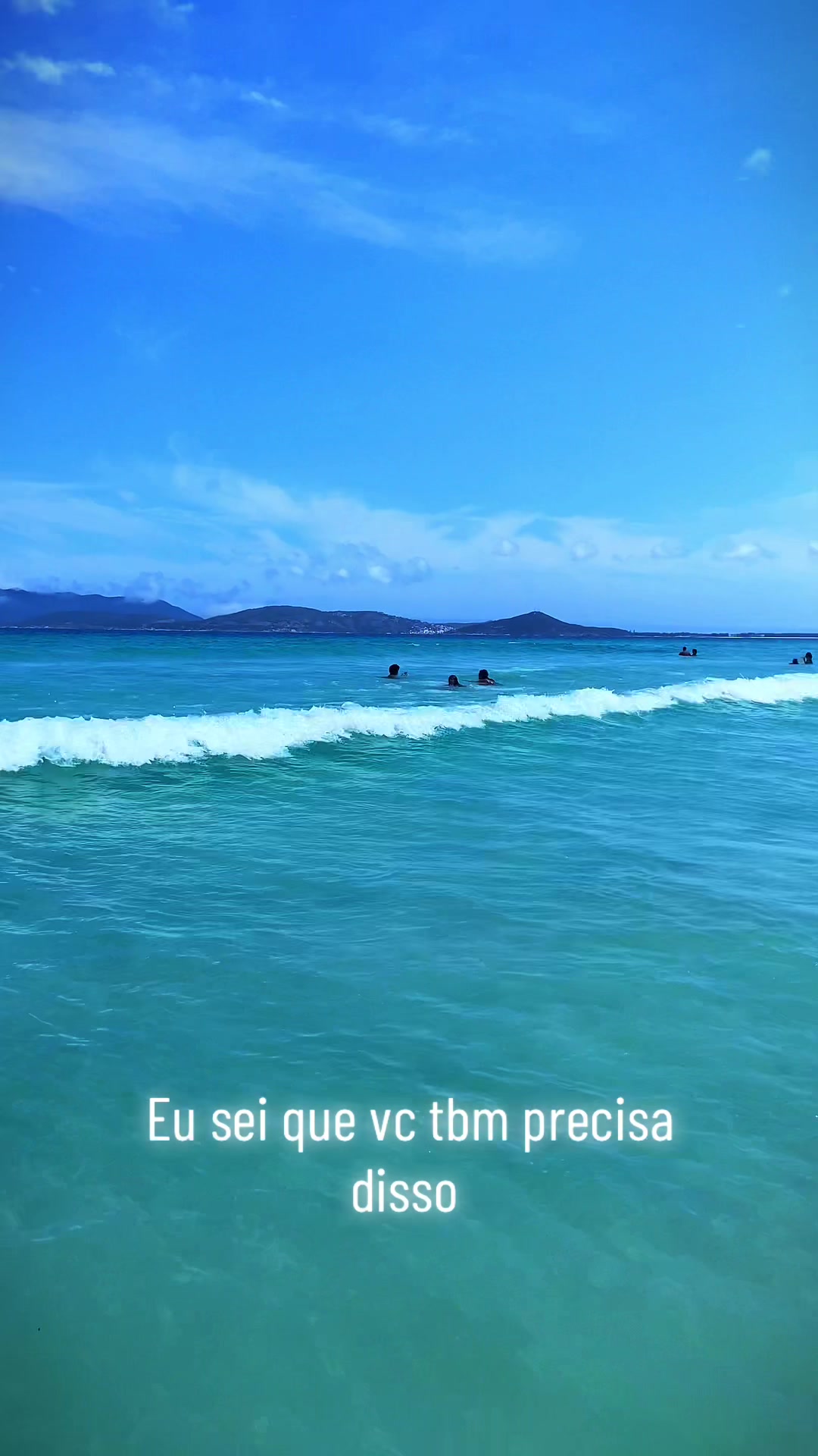 @Bruno Abreu