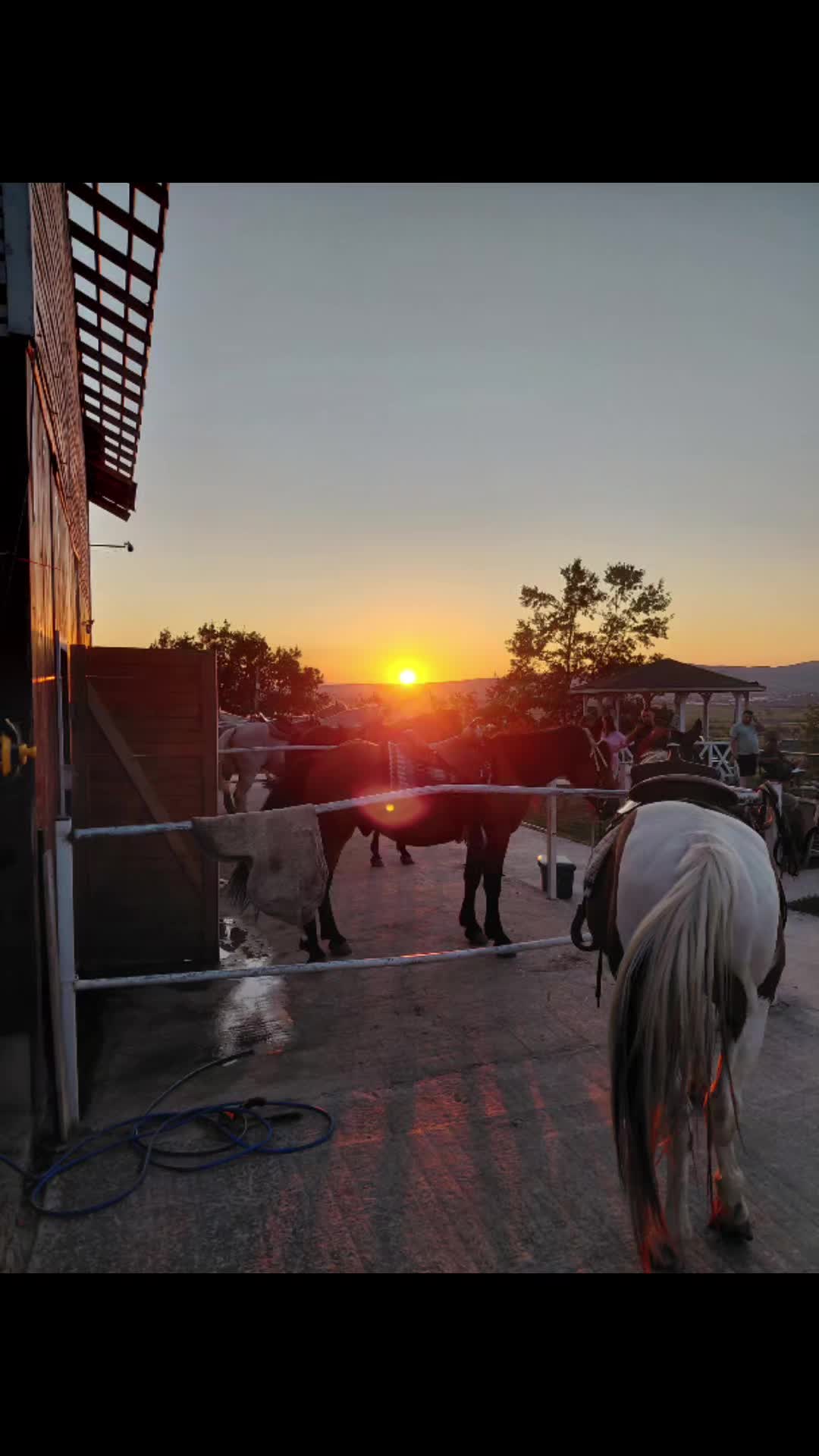 @The Lumi Ranch Skifteraj