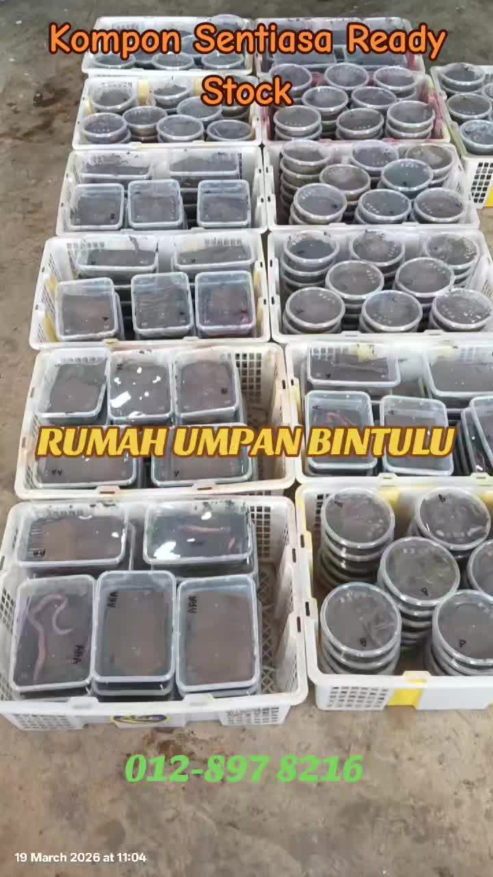 @Rumah Umpan Trading