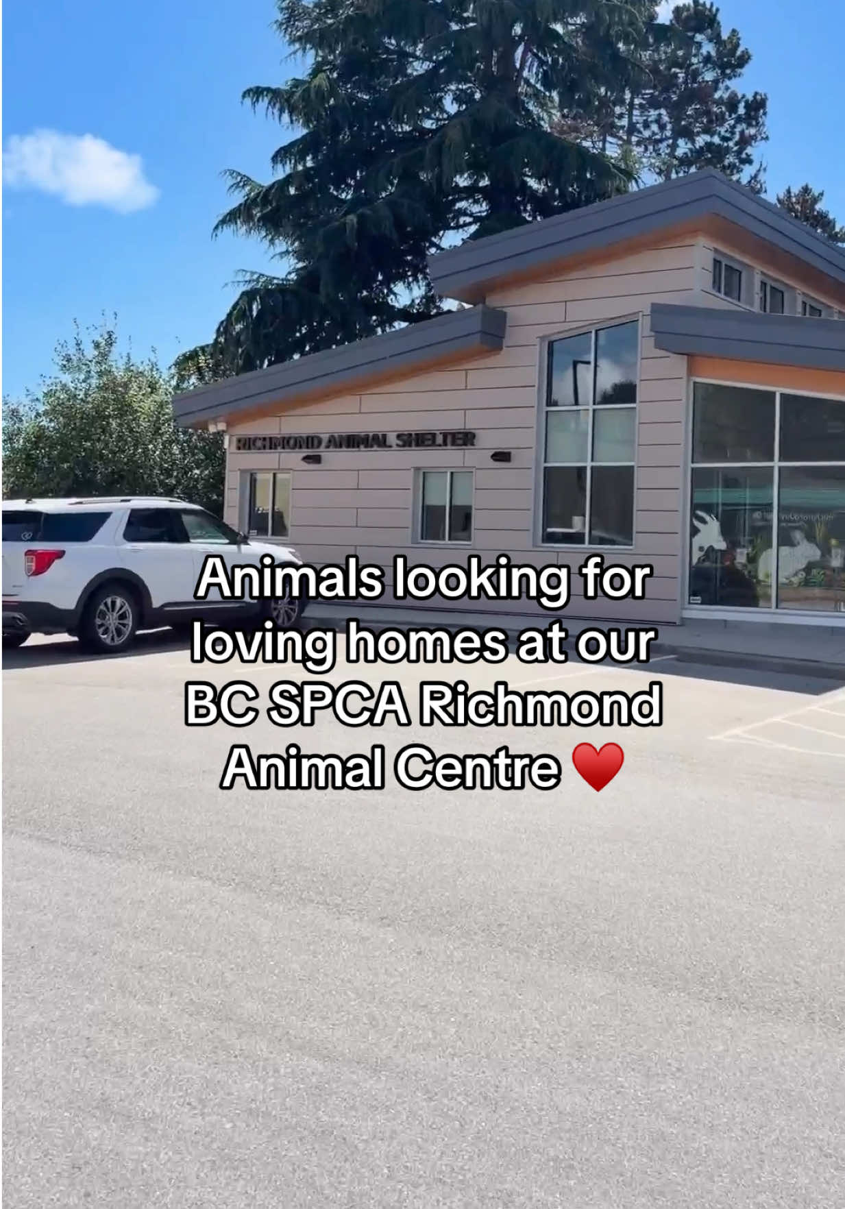 @BC SPCA