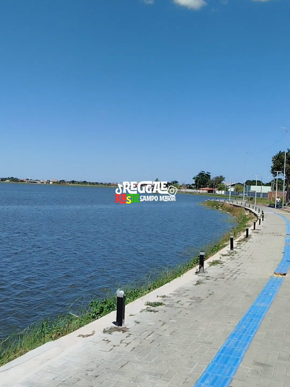 @REGGAE RASTA CM