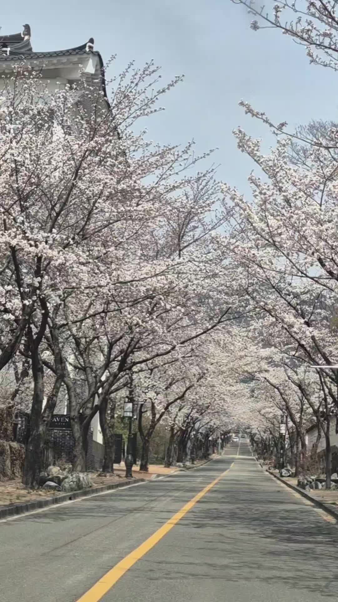 @luna0508