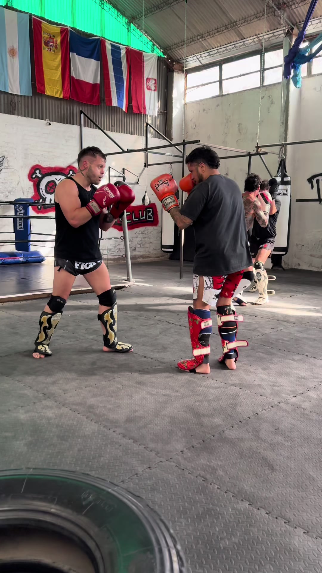 @polaco_fighter